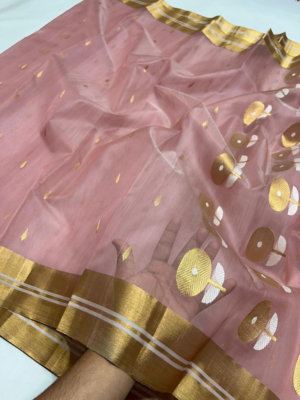 Pure Chanderi Kataan Handloom Silk Saree